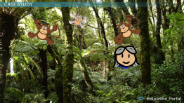 Descriptive Research Design: Definition, Examples & Types